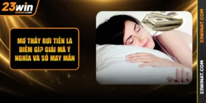 Mơ Thấy Rơi Tiền Là Điềm Gì? Giải Mã Ý Nghĩa Và Số May Mắn 